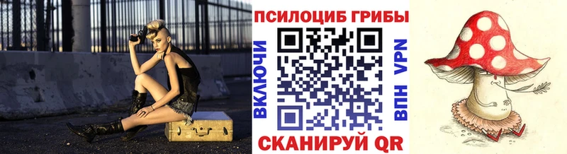 Псилоцибиновые грибы Cubensis  купить  цена  Нолинск 