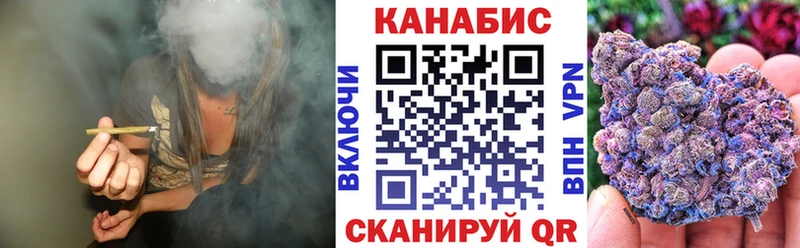 Канабис гибрид  Нолинск 
